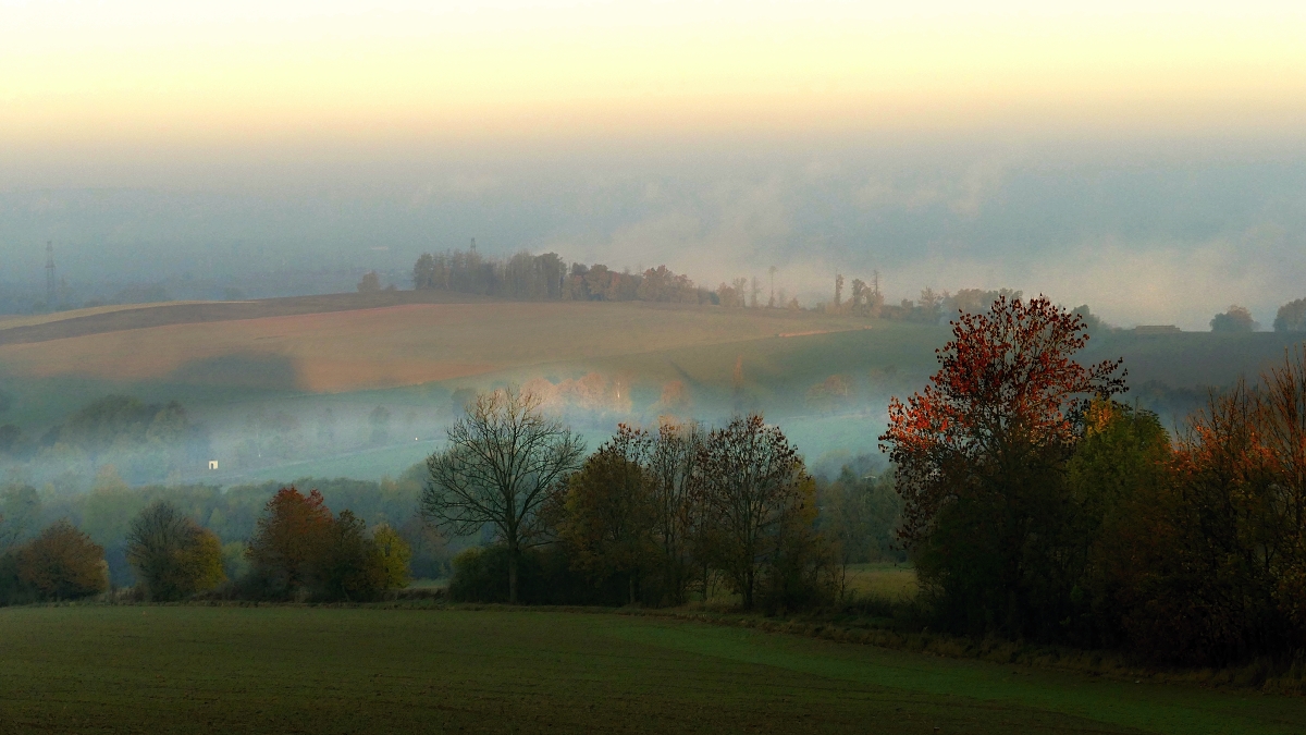 Ranní