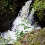 Vodopád