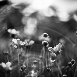 V ochranné atmosféře