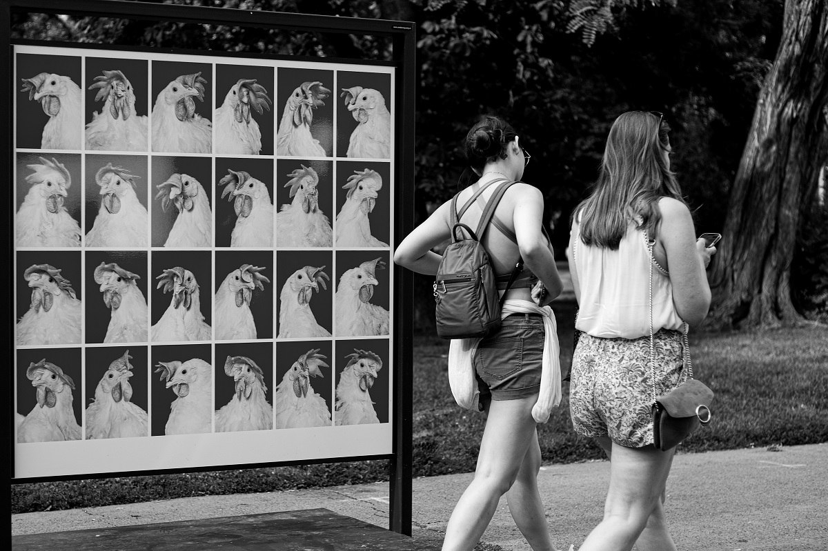  nekorektní náhoda :)