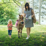 putování s poníkem