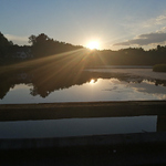 Tam za vodou v rakosi