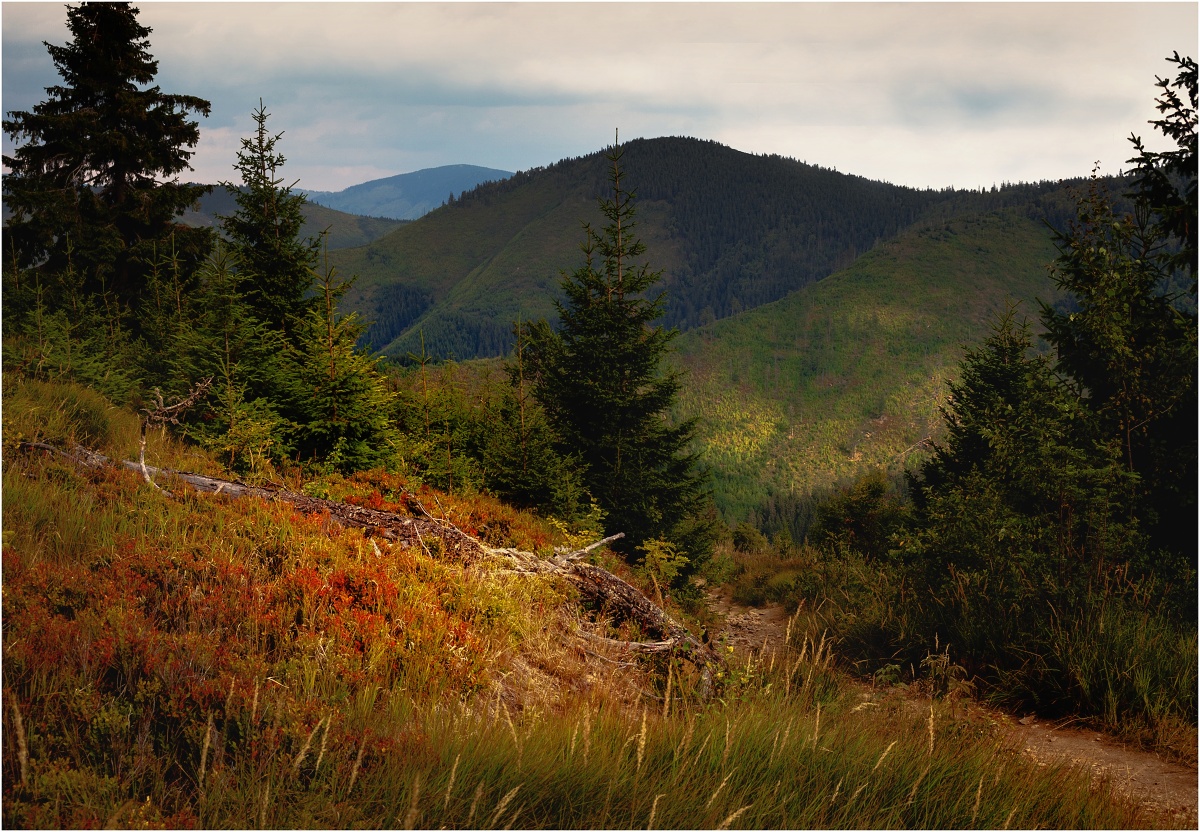 Příprava na pozdněletní spánek