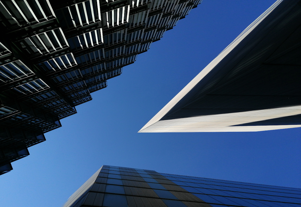 variace na renesancni tema