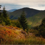 Příprava na pozdněletní spánek