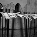 Blatná 2022 - Na plotě