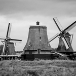 Zaanse Schans II