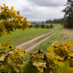 Prostě podzim je tu