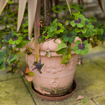 Holky, letos končíme