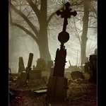 Zahrady ticha a zapomnění