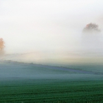 Mlhavé ráno