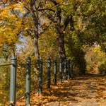 Obědová pauza