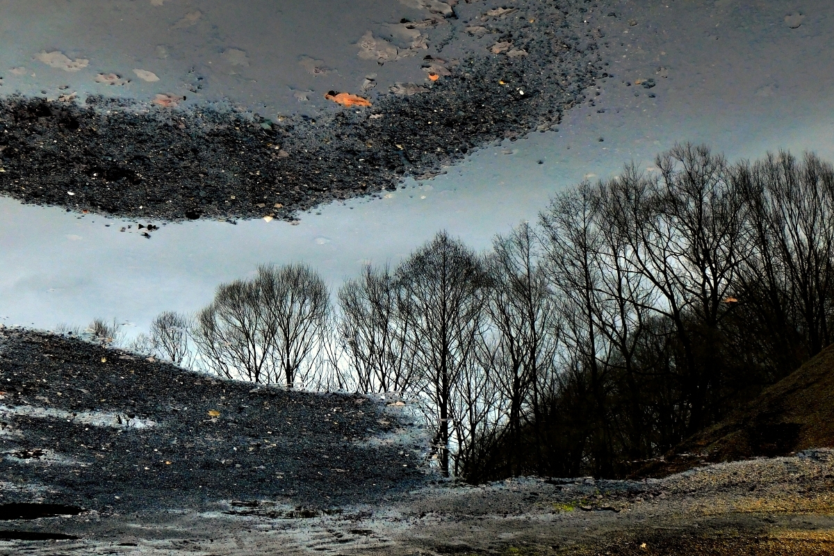 Imaginární krajiny