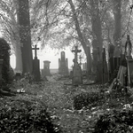 Zahrady ticha a zapomnění