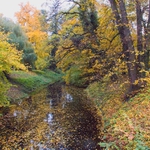 Z Kroměřížských zahrad