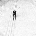 ma prednost, jede po hlavni