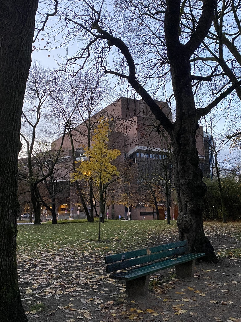 V parku