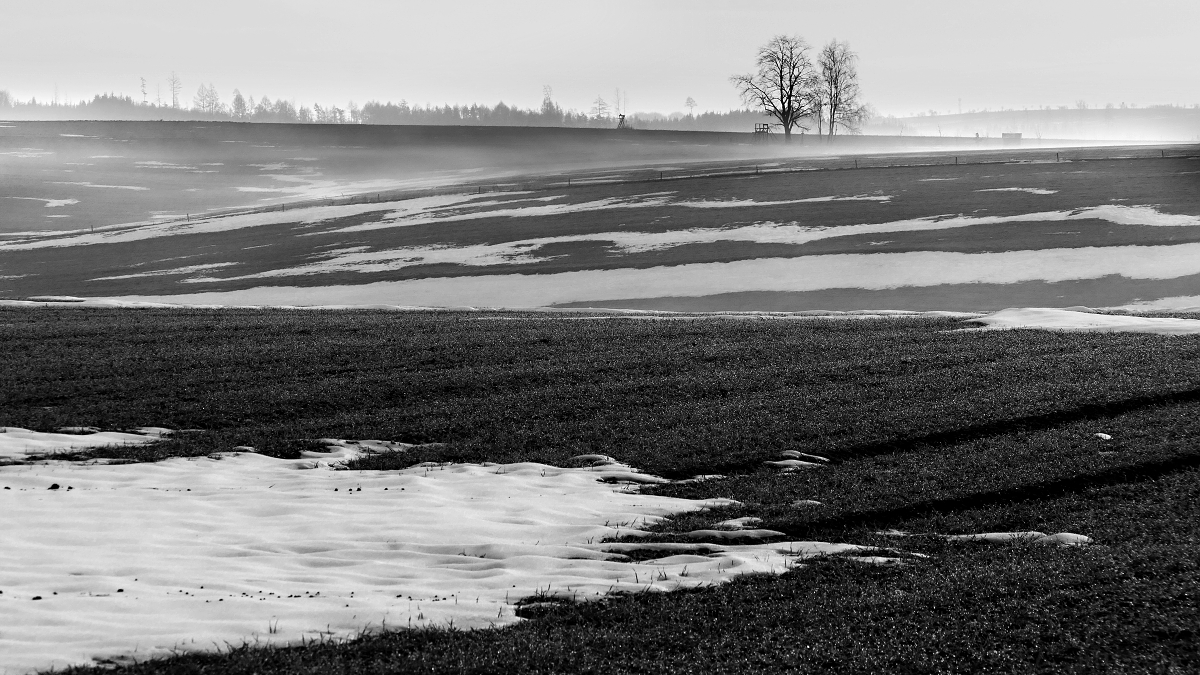 Vysočina u Horní Krupé
