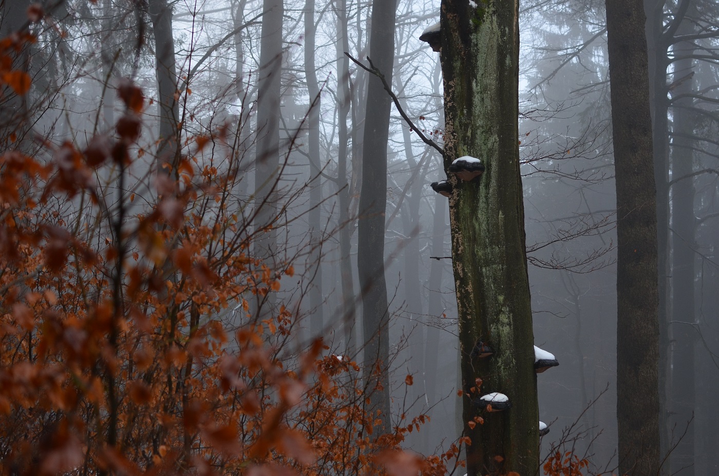 Roztahování - nechte mi mé bílé houby.