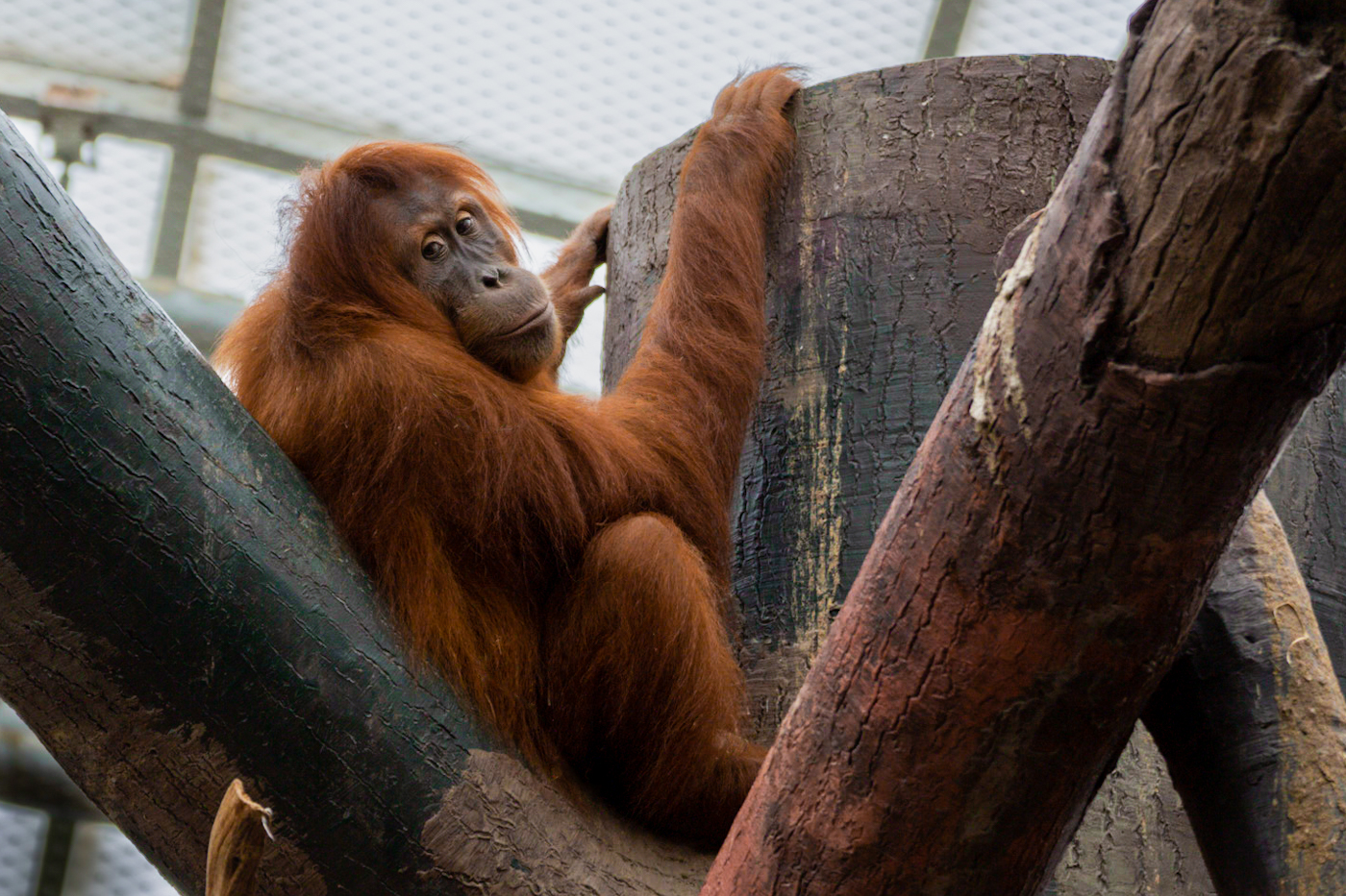 Potřebuješ něco? :)