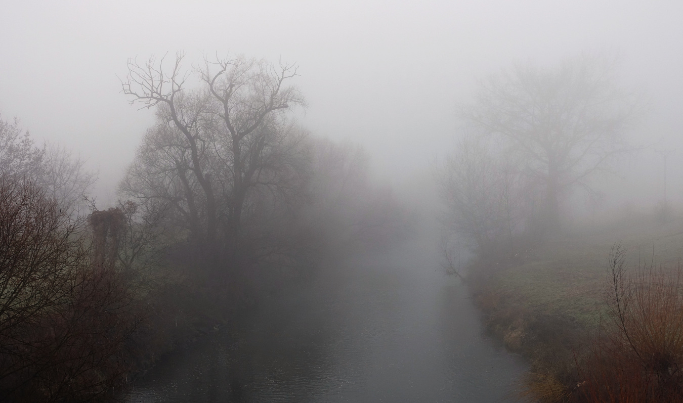 KD - krava dlouhonoha