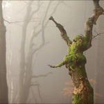 Tanec lesní čarodějnice