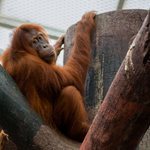 Potřebuješ něco? :)