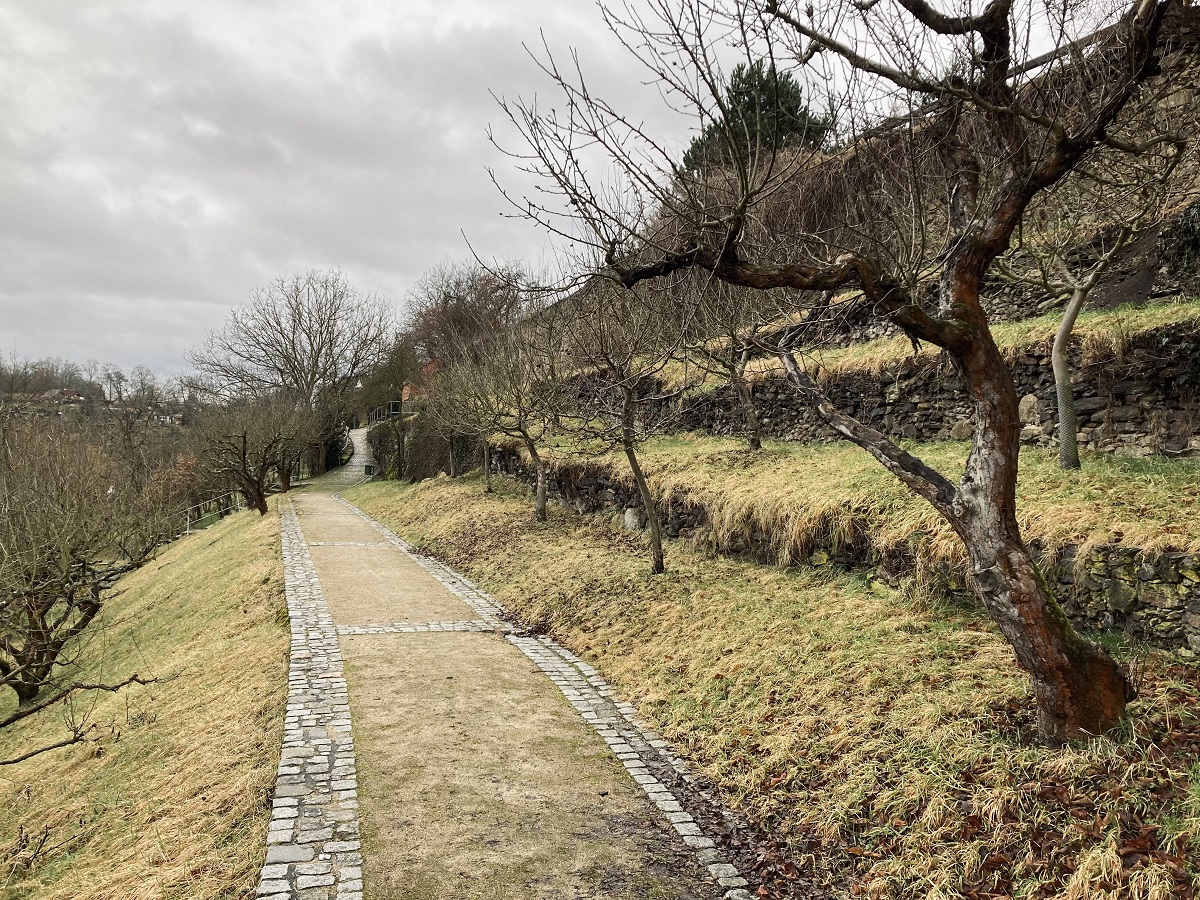 Klášterní zahrada