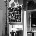 Kavárnička na rohu