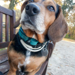 Můj nejlepší kamarád