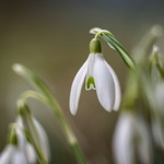 A už je to tady zas :-)