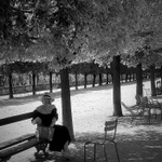 Paříž-trochu z Moneta