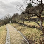 Klášterní zahrada