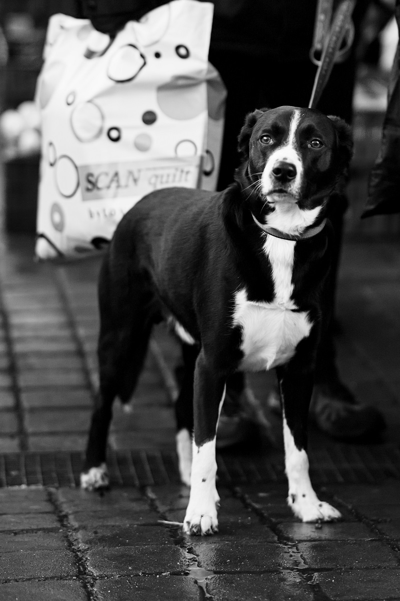 nákup... strašná nuda!