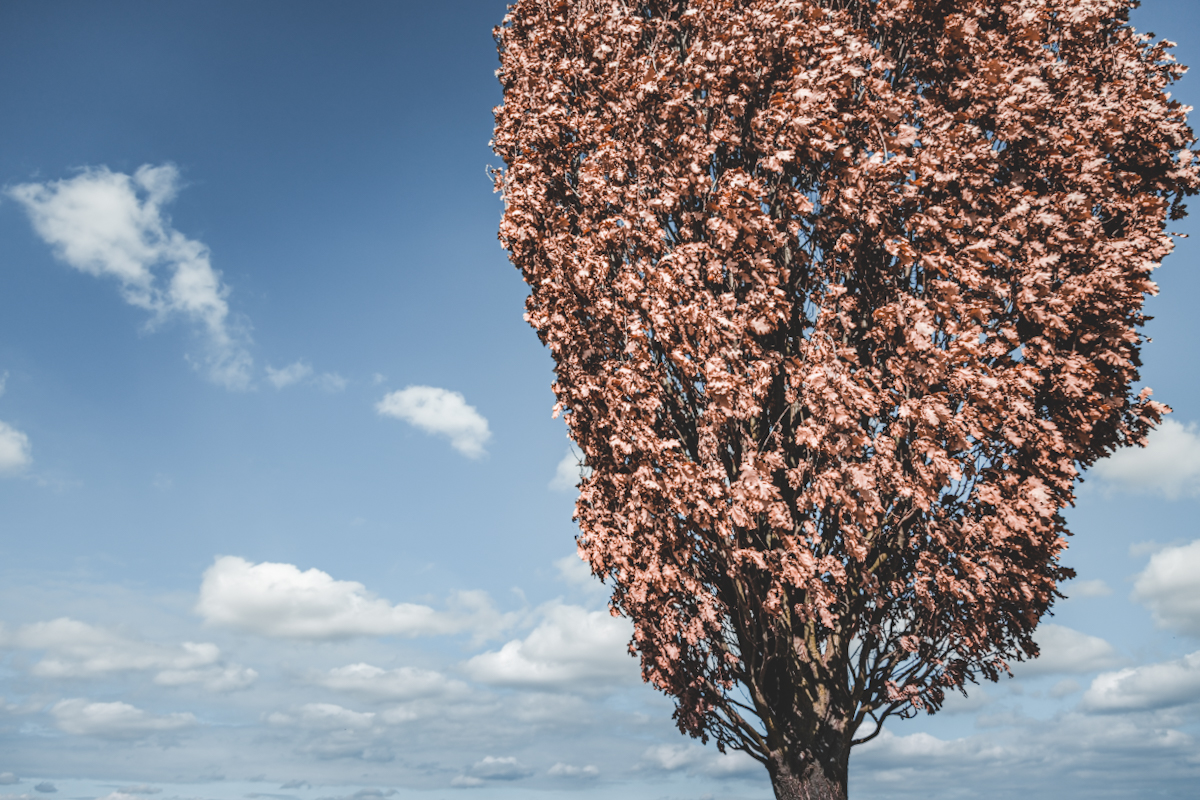 Myšlenkami v oblacích…