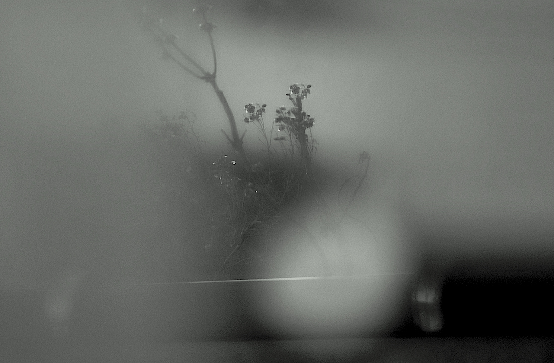 Snehova koule a odraz 