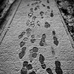 K jaru tam a zpět.... :o)