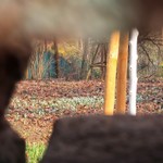 Bílé tajemství za zdí