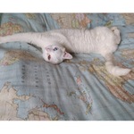 Vládce všech moří