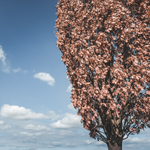 Myšlenkami v oblacích…