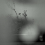 Snehova koule a odraz 