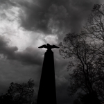 Malvazinky, dravec a lev