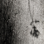 Pohlazen vlastním stínem