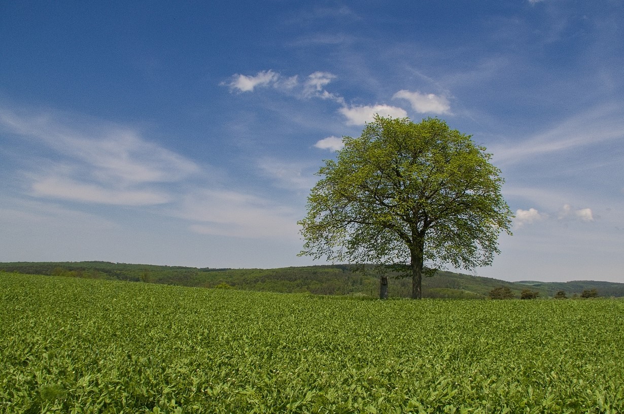 Samotář pod Karpaty