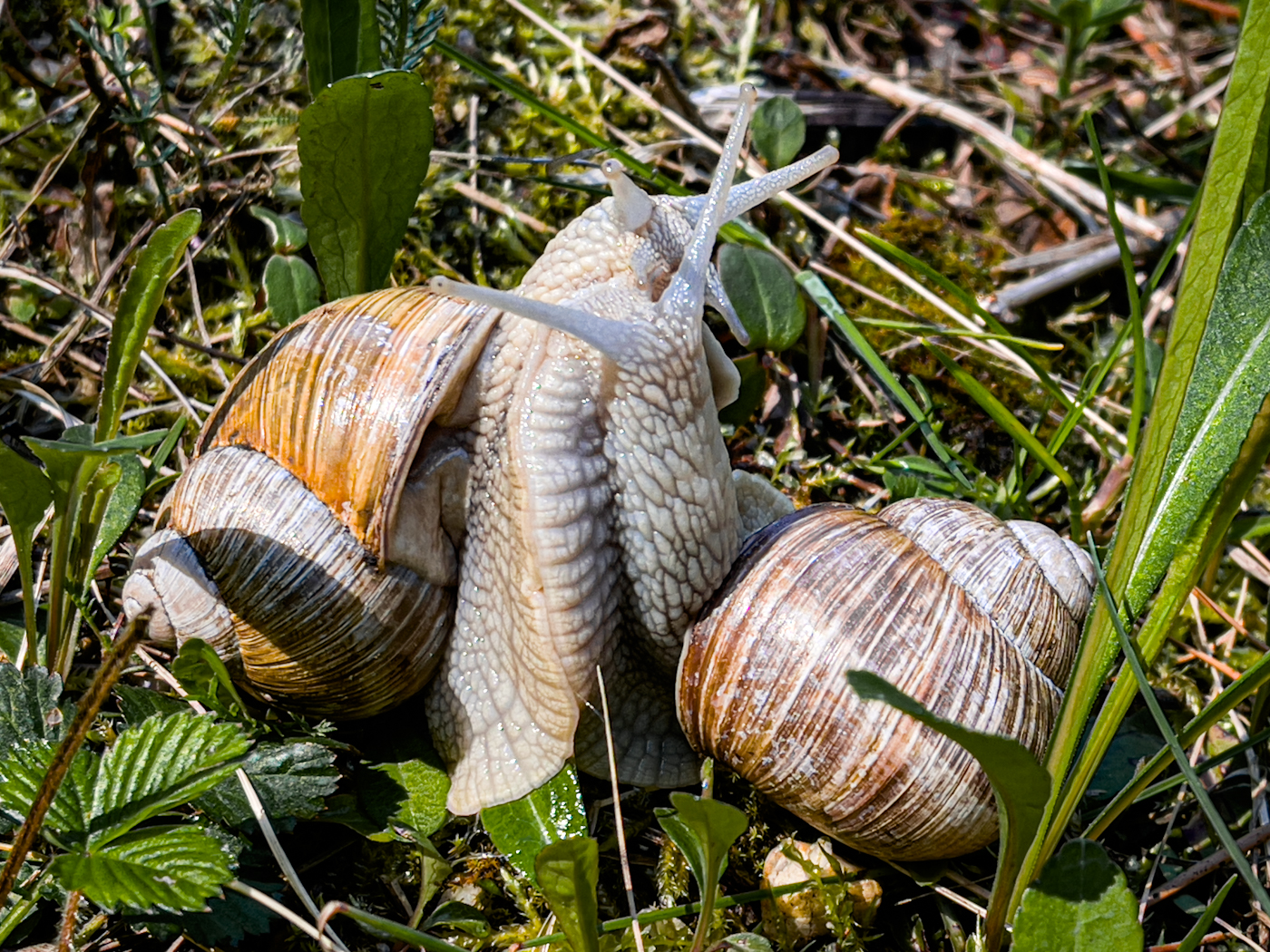 1. Máj, lásky čas :)