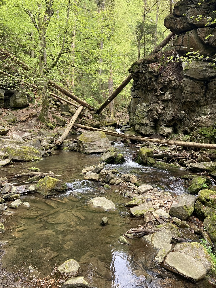 Cestou na Rešovské vodopády II
