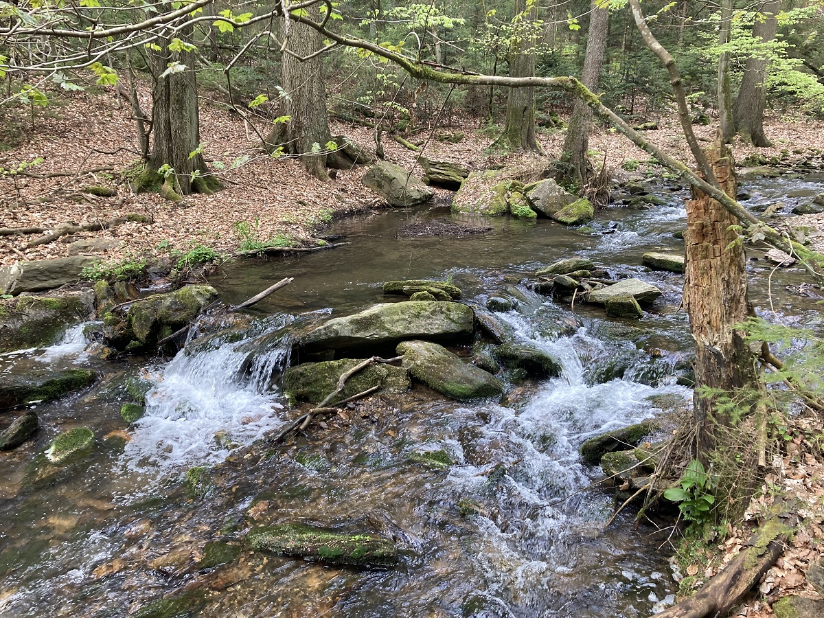 Cestou na Rešovské vodopády III