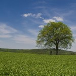 Samotář pod Karpaty