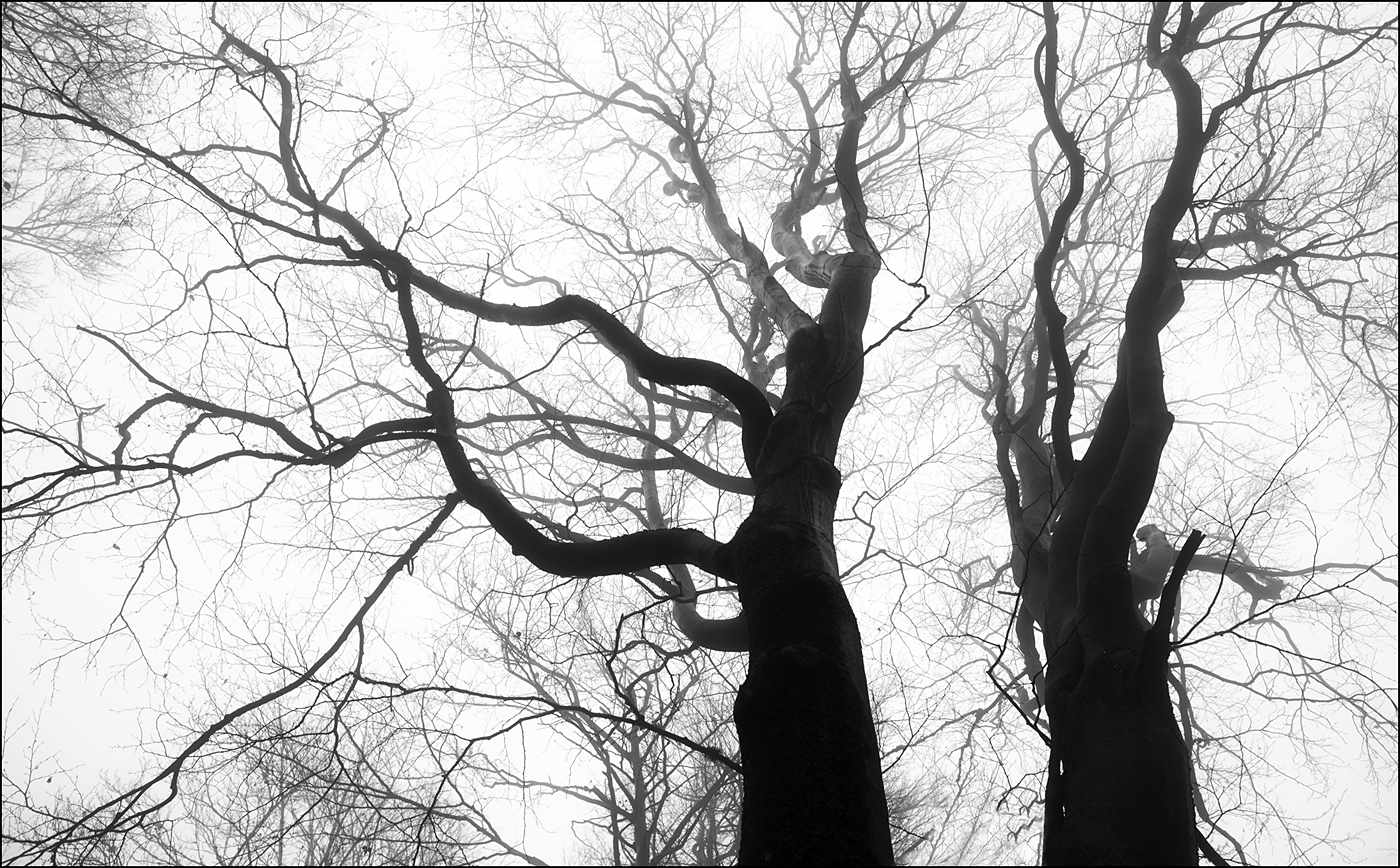 Rýchorské kontrasty