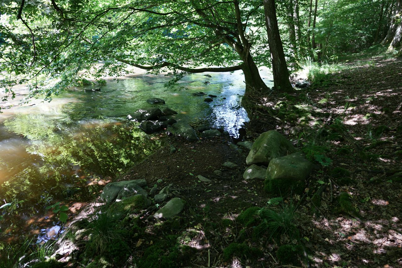 Orlice